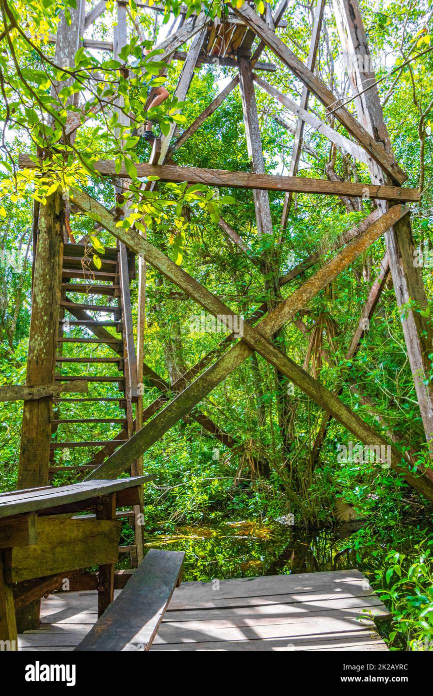 Wooden viewpoint tower tropical jungle to Muyil Lagoon panorama Mexico Stock Photo Alamy