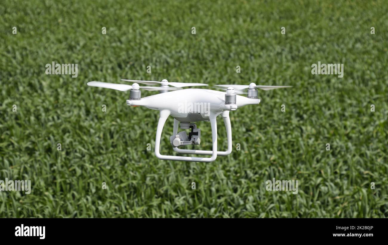 Camera flight over wheat field hi-res stock photography and images - Alamy