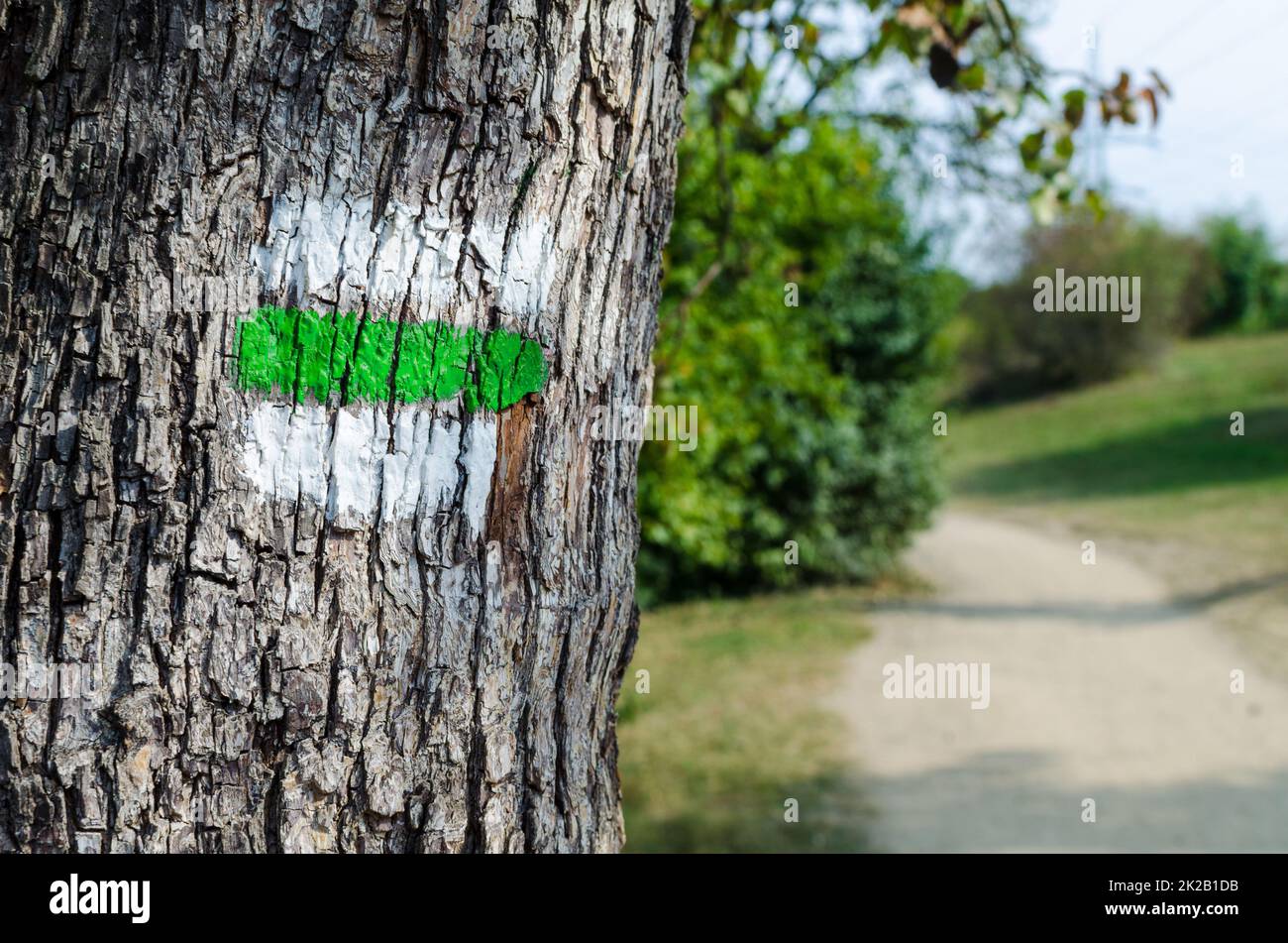 Green sign on a tree. Marking on hiking trails Stock Photo Alamy