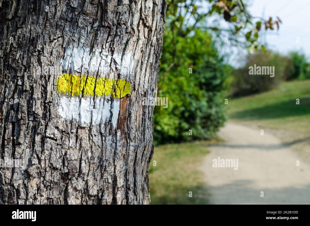 Yellow sign on a tree. Marking on hiking trails Stock Photo Alamy
