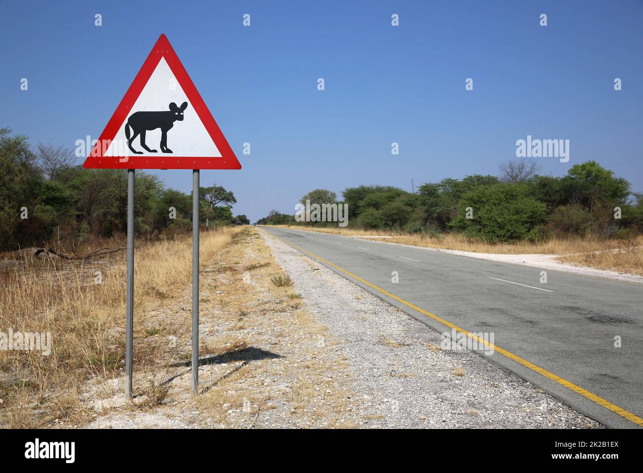 Road Warning Sign in Namibia Stock Photo Alamy