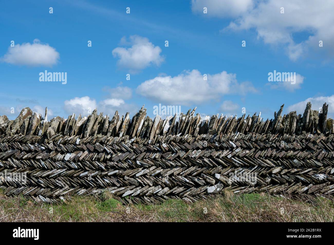 Cornish slate wall with herringbone pattern known as 'curzyway', South West Coast path, near Tintagel. Stock Photo
