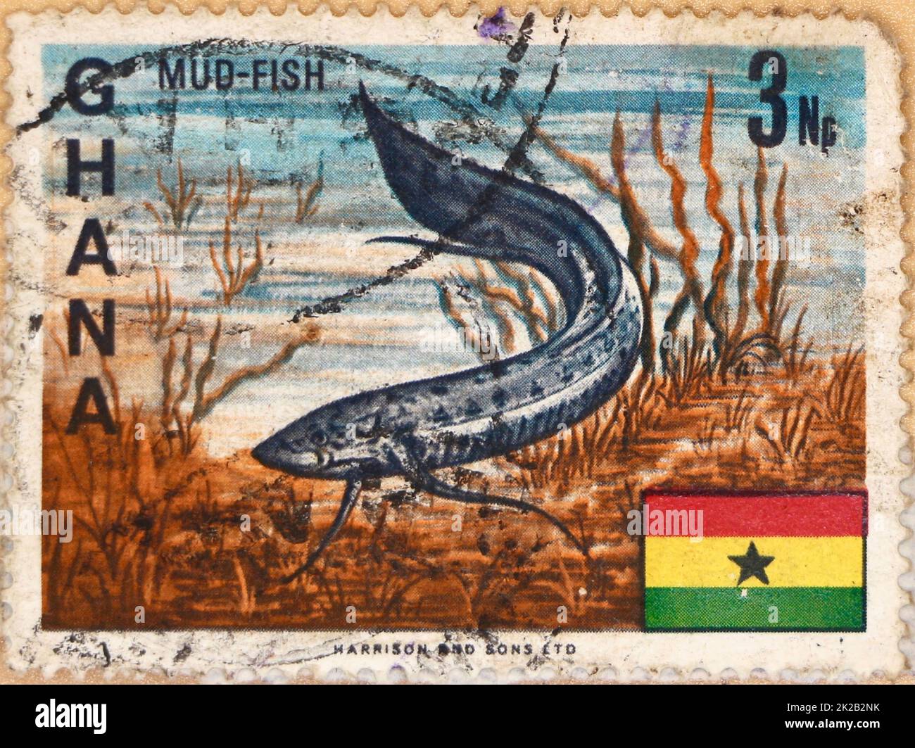 Photo of a postage stamp from Ghana with an illustration of a mud-fish and the Ghanaian flag Stock Photo