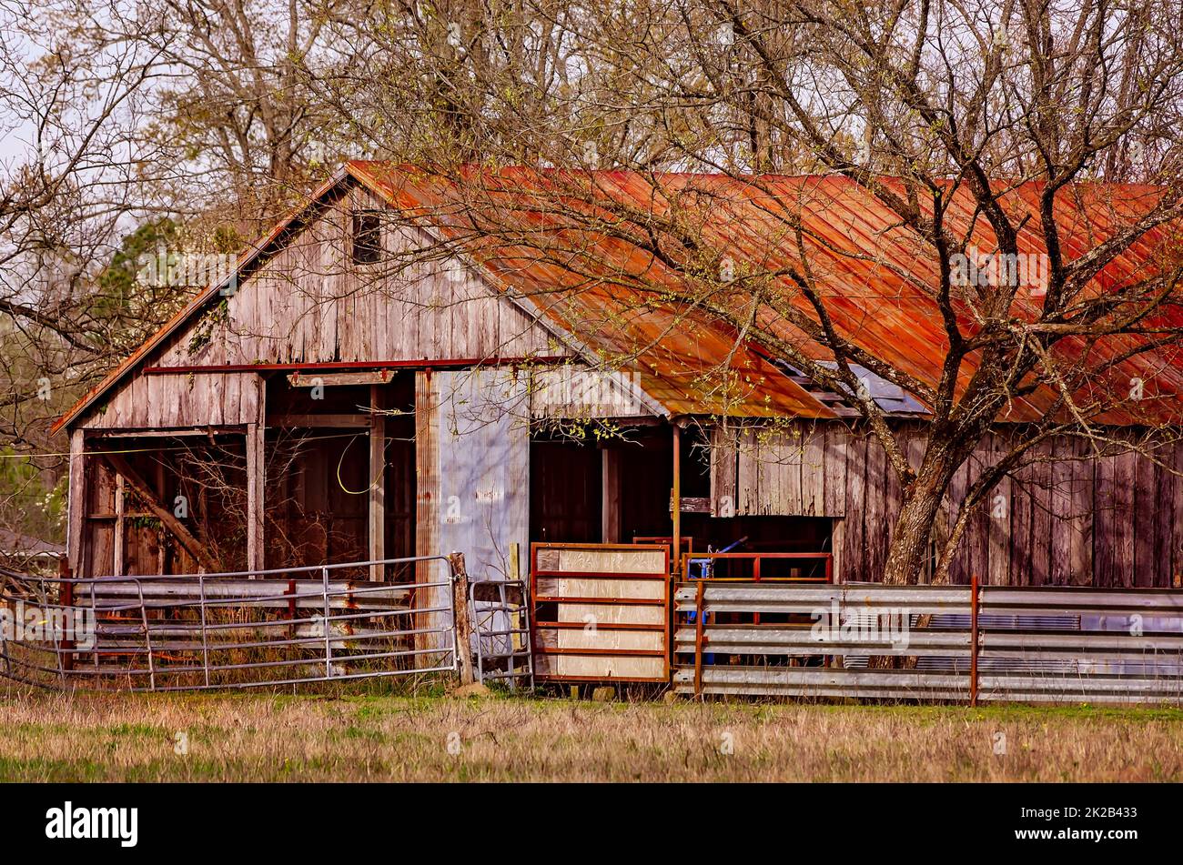 A ramshackle old barn is pictured, March 6, 2012, in West Point, Mississippi. Stock Photo
