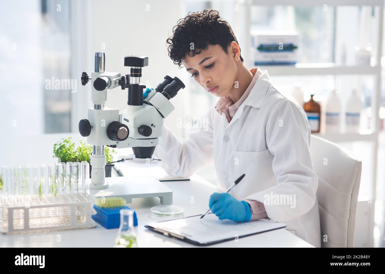 What she finds she records. Cropped shot of an attractive young female scientist making notes while working with a microscope and plants in a laboratory. Stock Photo