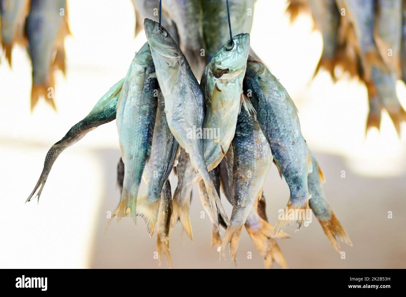 As fresh as it gets. Closeup shot of dead fish hanging in bunches. Stock Photo