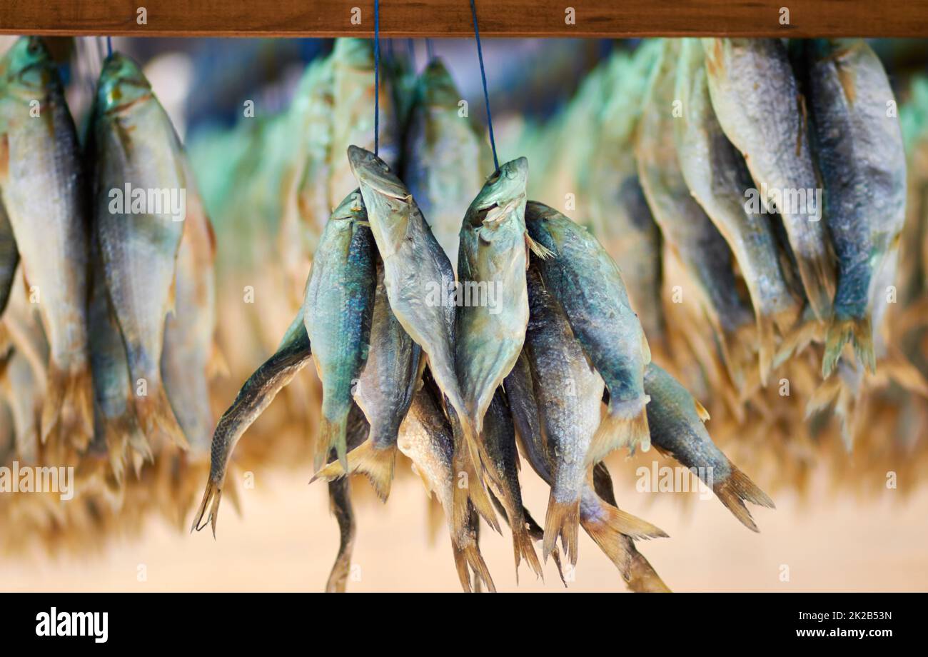 Catch of the day. Closeup shot of dead fish hanging in bunches. Stock Photo