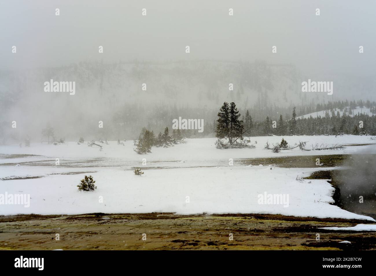 Winter Snowing Geothermal Pool Yellowstone Stock Photo