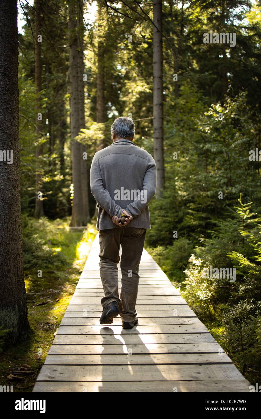 Senior man enjoying the outdoors, hiking, walking throught lovely nature Stock Photo