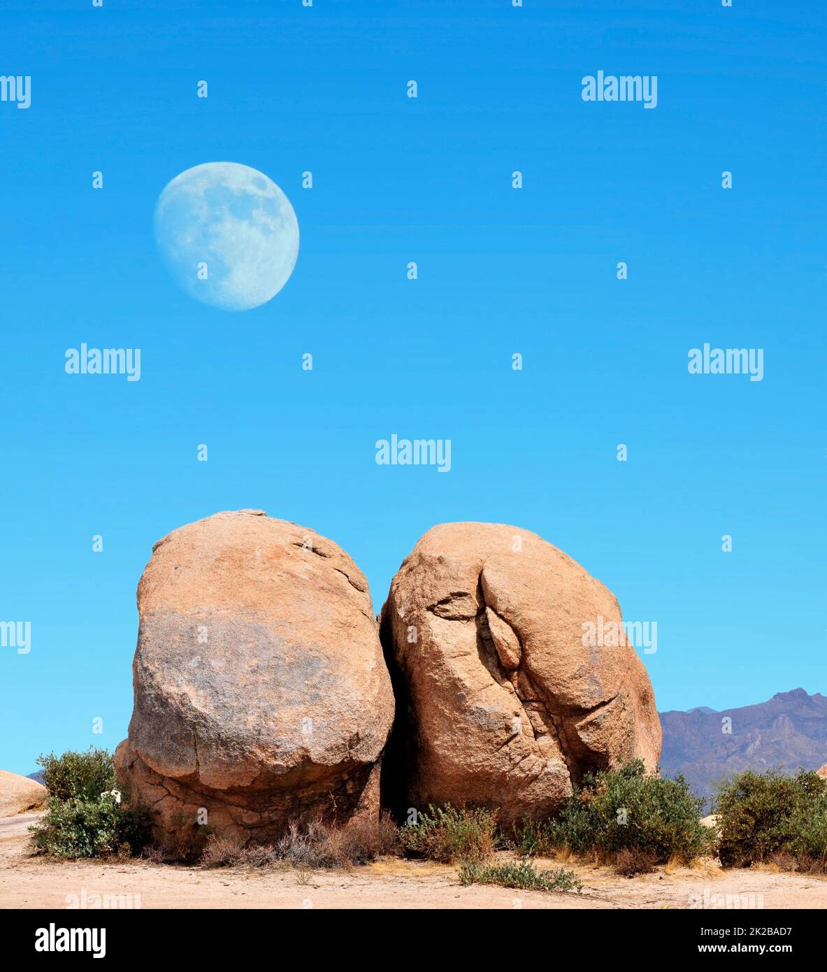 Sonora Desert Moon Stock Photo