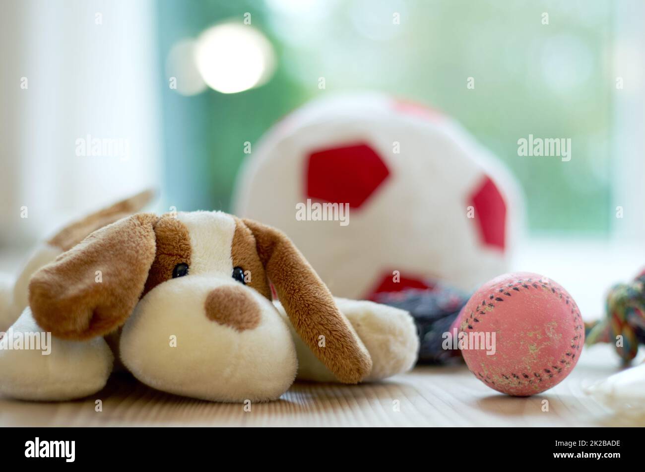 https://c8.alamy.com/comp/2K2BADE/a-puppys-best-friends-a-cropped-shot-of-a-puppys-chew-toys-at-home-2K2BADE.jpg