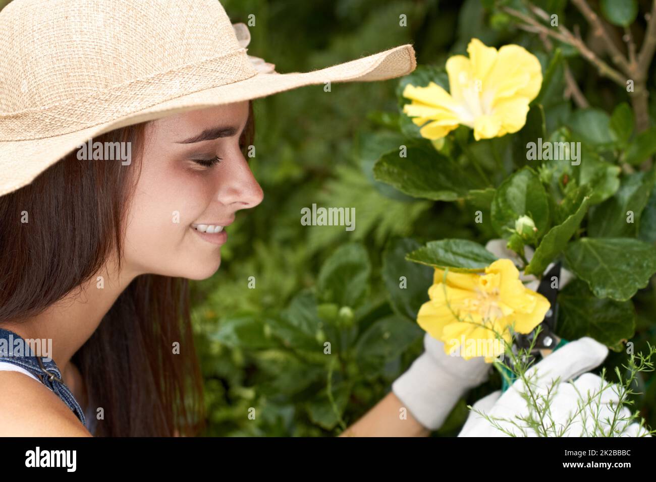 Shes worked hard for those perfect flowers. A beautiful young woman tending to the flowers in her garden. Stock Photo