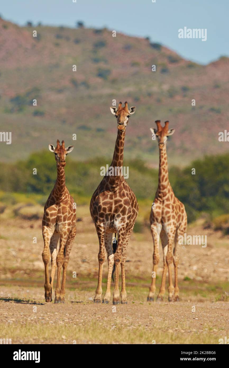 The greatest leader doesnt tell you what to do, they show you. Shot of