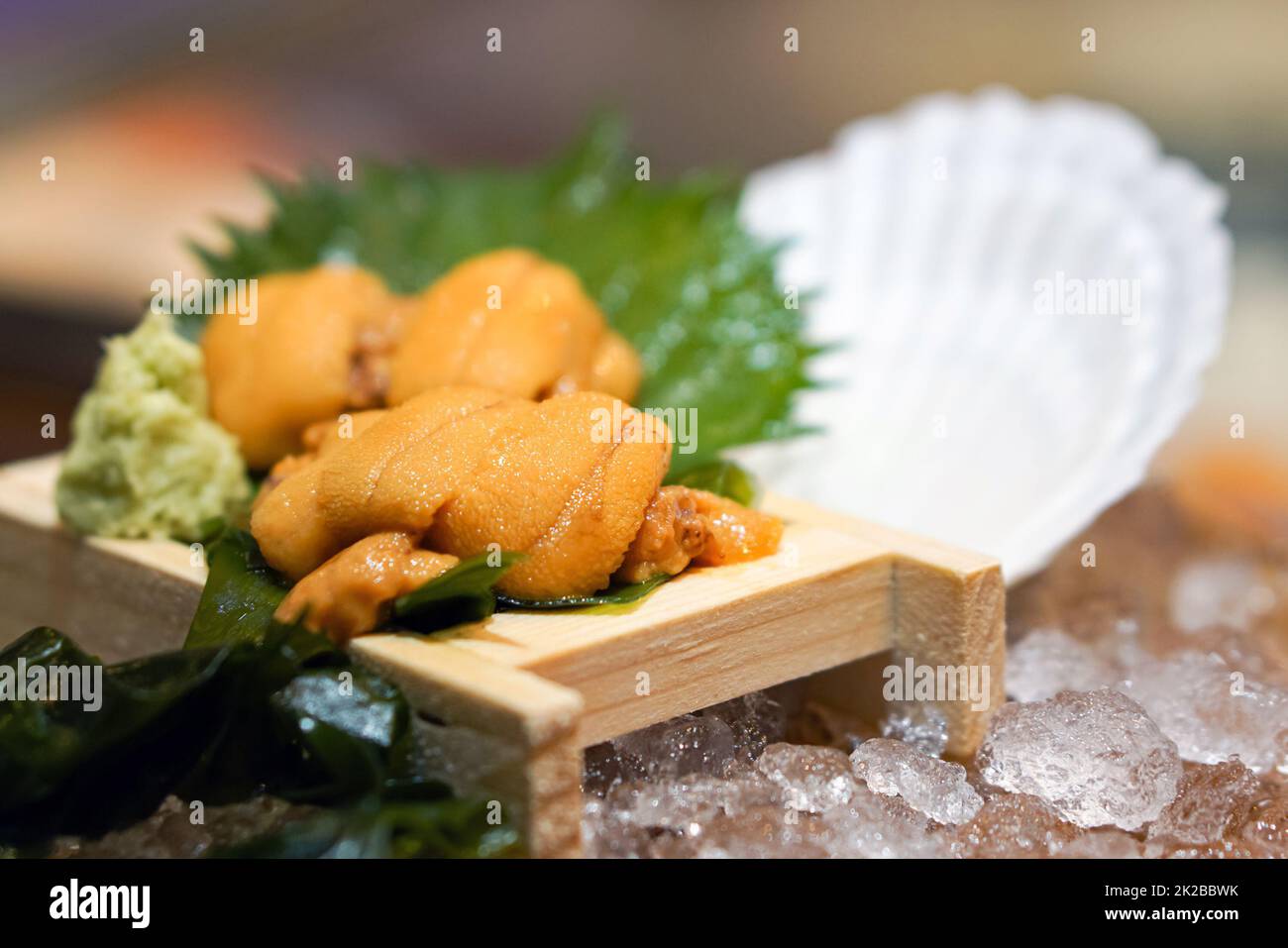 Closeup Fresh Uni. Atlantic sea urchin meat in wooden tray serve on ice with fresh wasabi and green shiso leaf. Japanese food Stock Photo