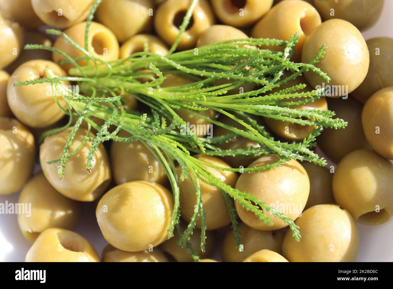 olive herb and many olives Stock Photo