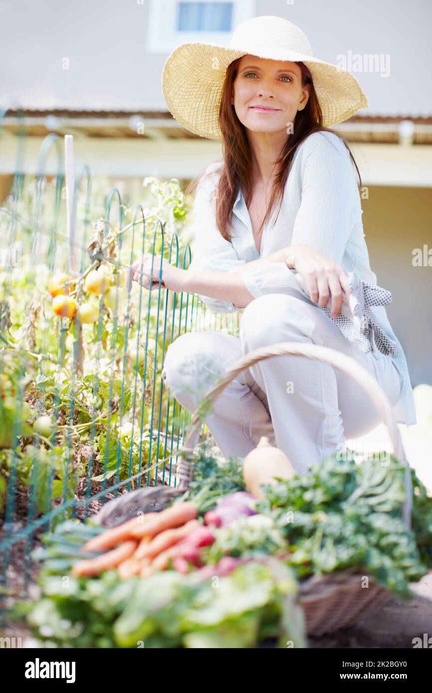 Free dinner with courtesy of the earth. A beautiful woman crouches in her vegetable garden with a basket of freshly picked vegetables in front of her.. Stock Photo