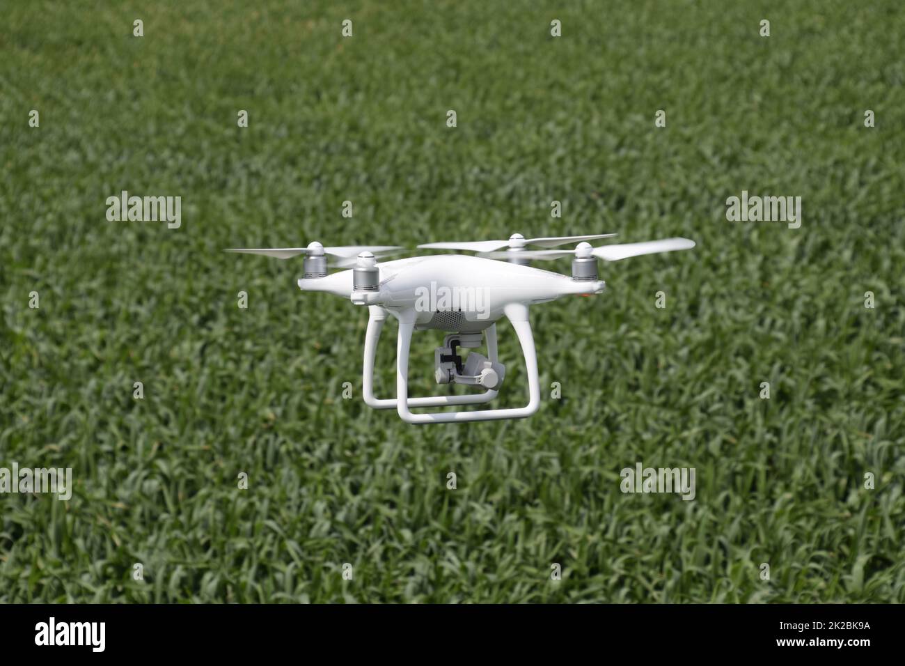 Camera flight over wheat field hi-res stock photography and images - Alamy