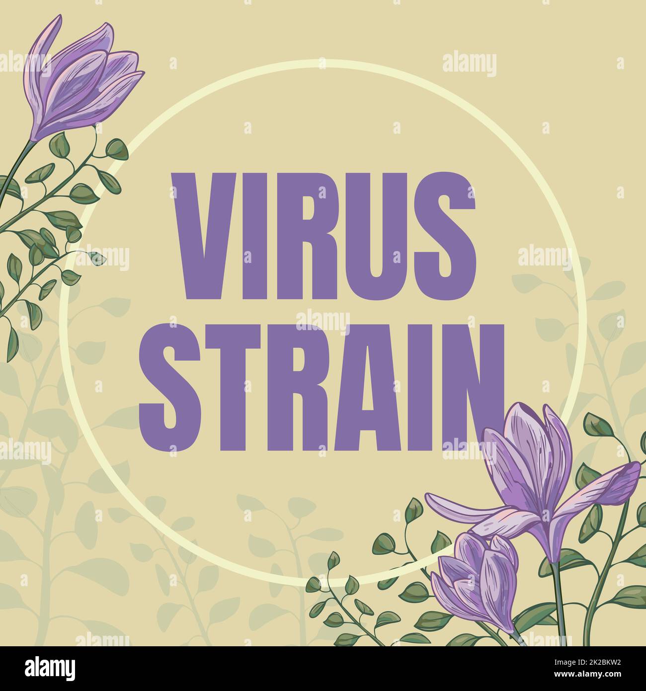 Conceptual caption Virus Strain. Business concept Virus Strain Text Frame Surrounded With Assorted Flowers Hearts And Leaves. Stock Photo
