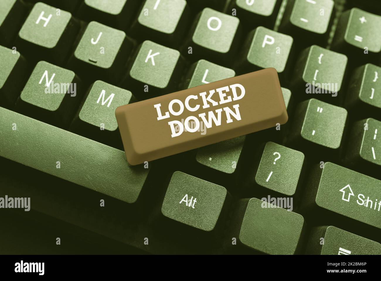 Text showing inspiration Locked Down. Business overview emergency