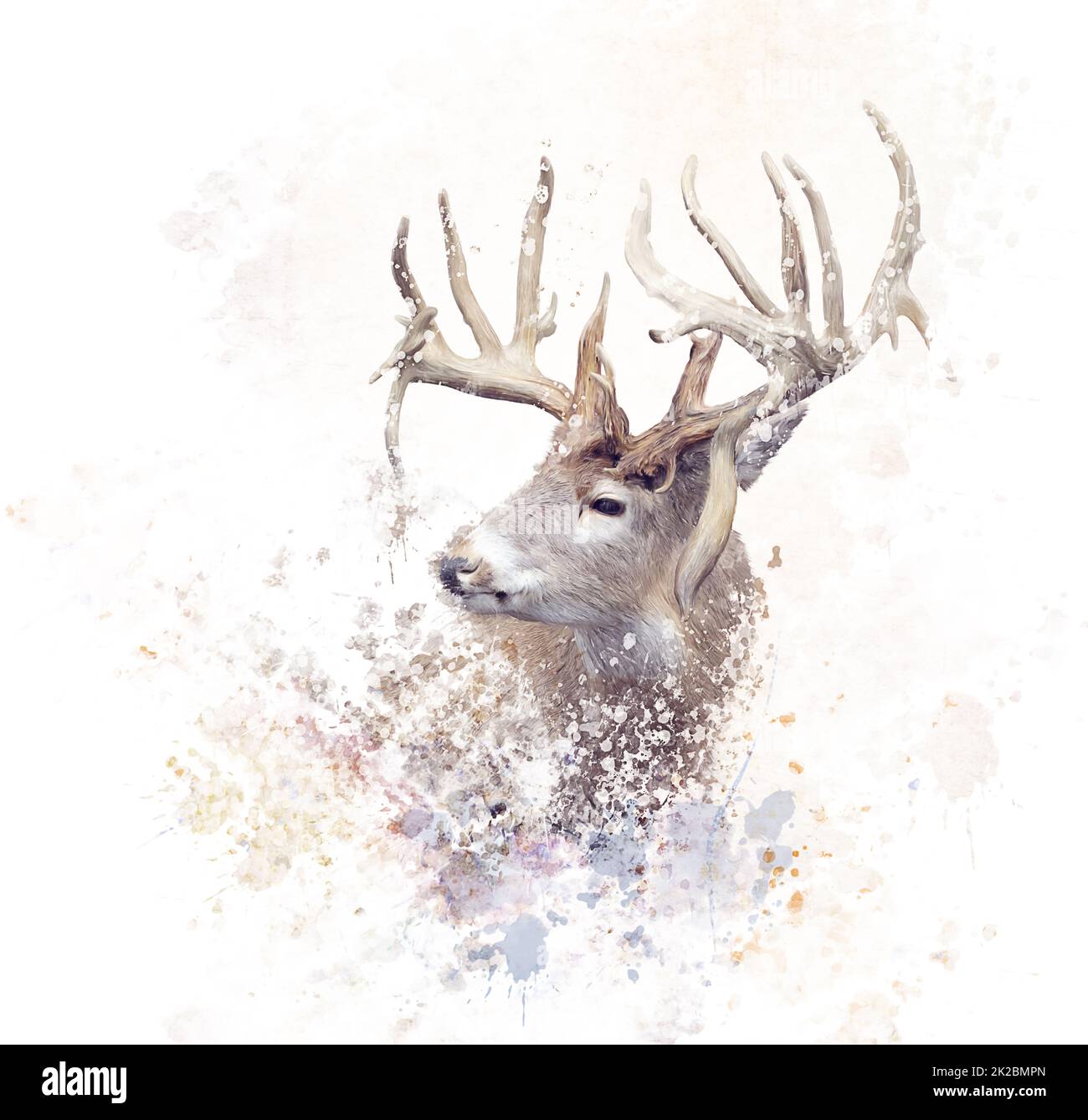 Digital Painting of Male Deer Stock Photo