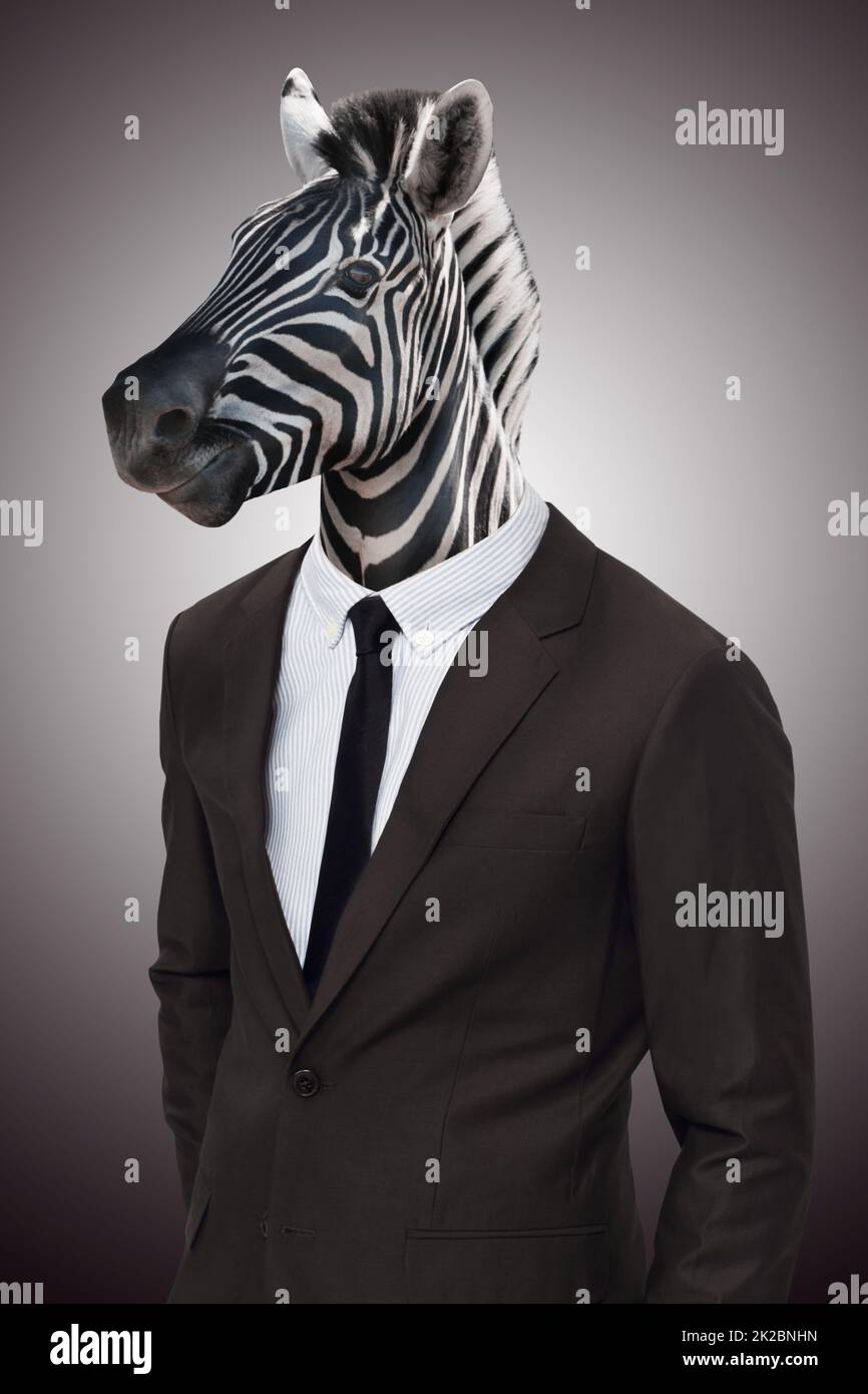 Earn your stripes in the corporate jungle. Studio portrait of a businessperson with a zebra head. Stock Photo