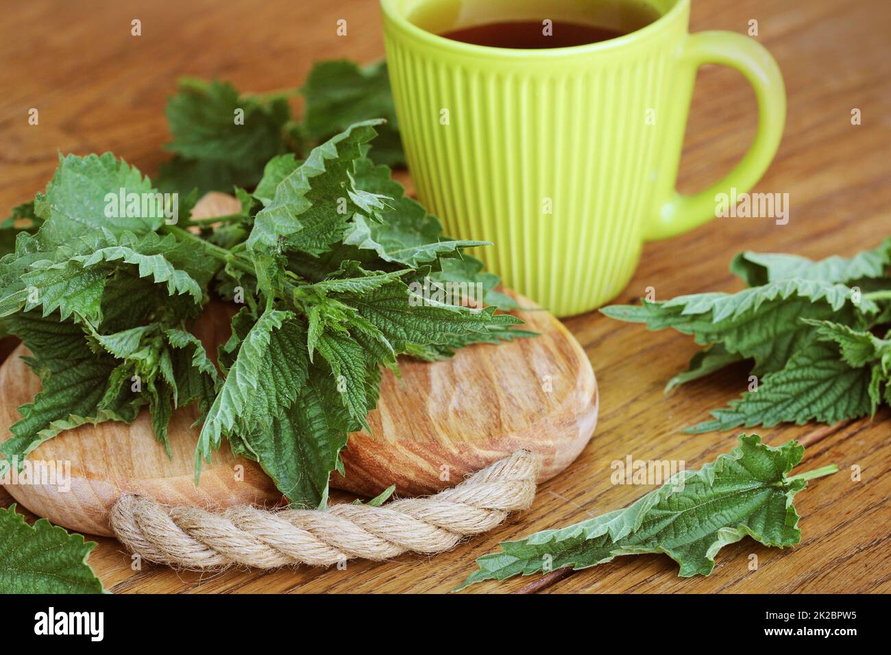 stinging nettle on a cutting board and tea cup Stock Photo