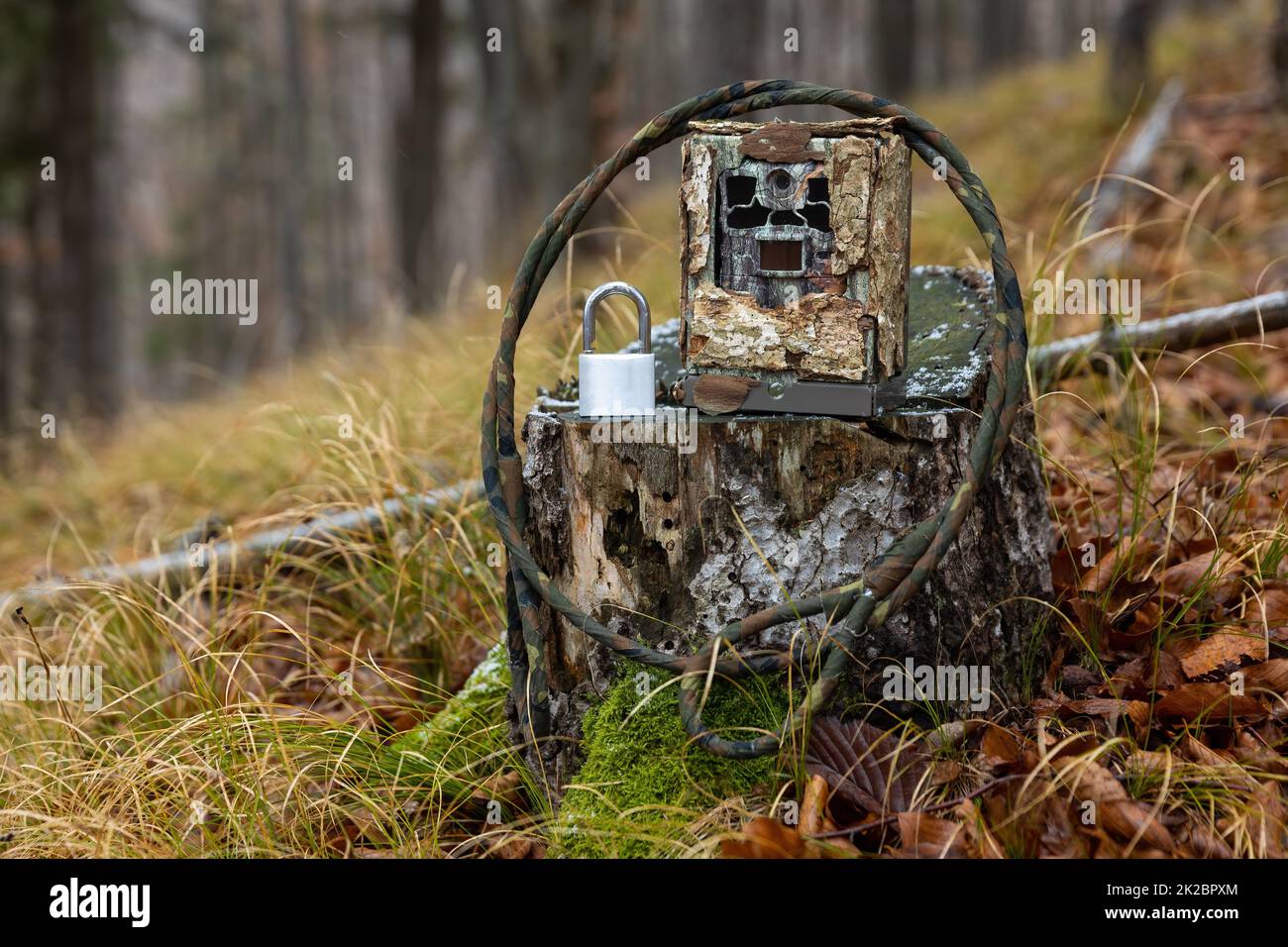 Trail camera in a metallic protection box with cable and lock Stock