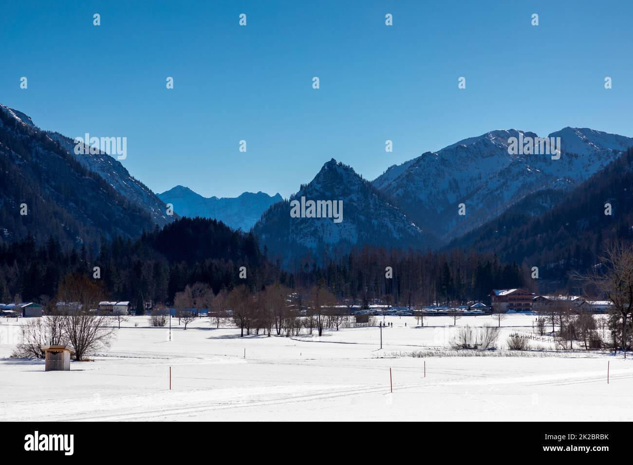 Trees in snowy Ruhpolding, Bavaria, Germany in front of mountain panorama Stock Photo