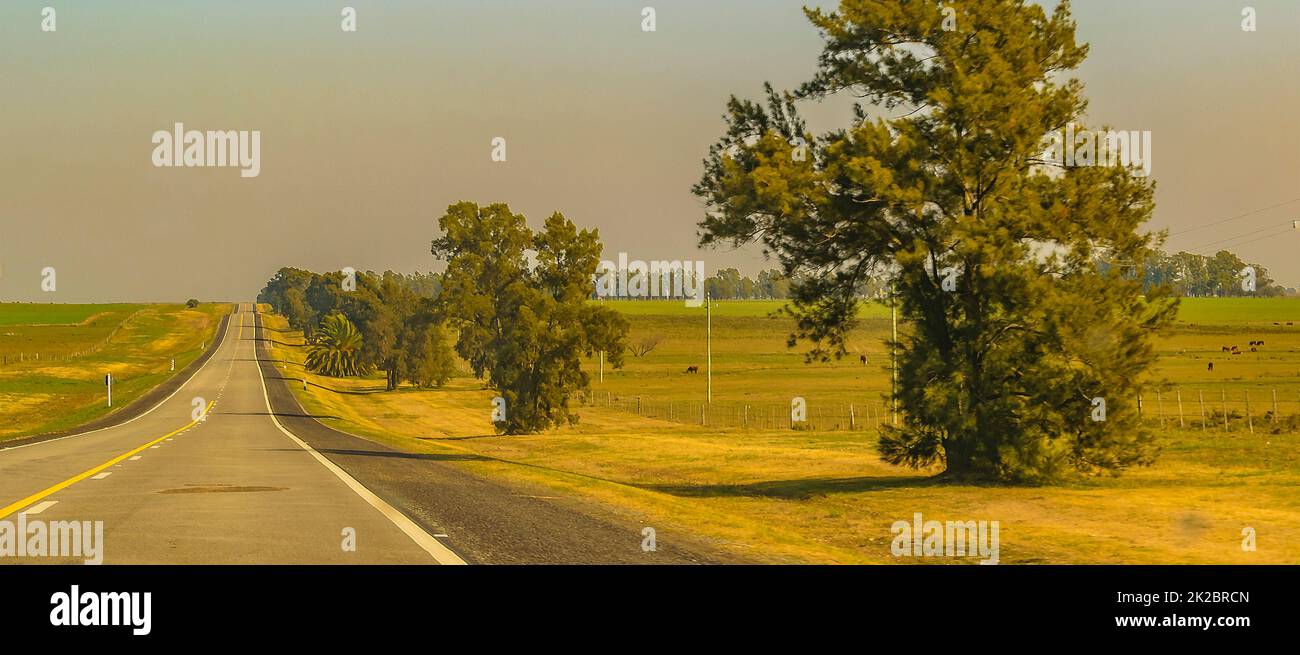 Highway Rural Landscape, Uruguay Stock Photo