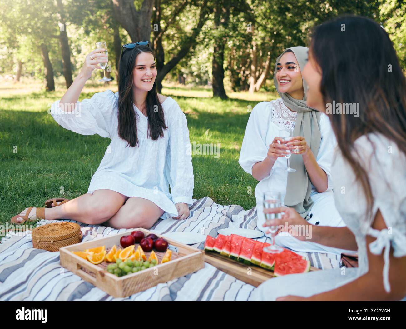 Picnic, champagne and women toast in a park outdoors in summer, Food, drink and a happy group of friends in nature on the weekend. Diversity Stock Photo