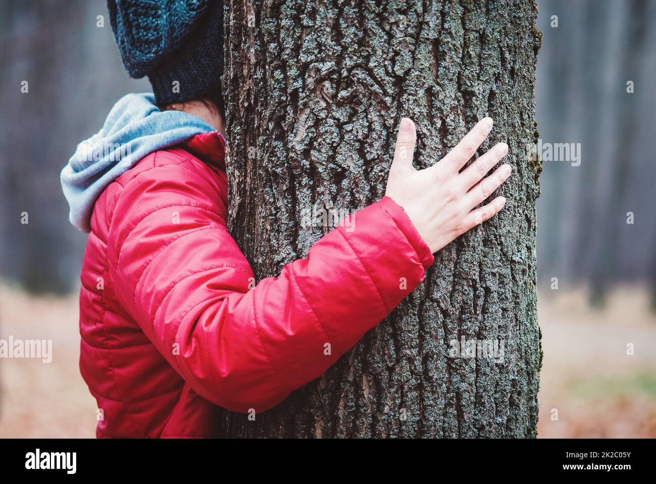 Hugging tree trunk in autumn park, woman embraces old tree outdoors ...