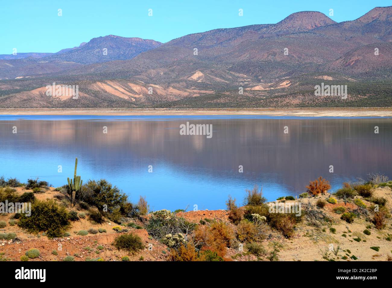Roosevelt Lake Central Arizona Stock Photo Alamy