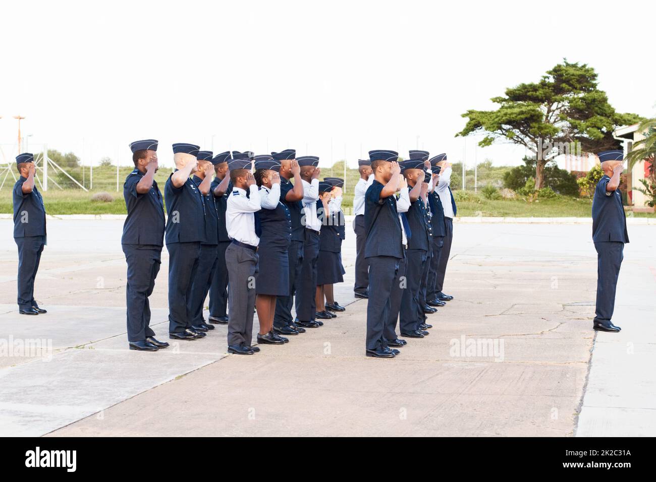 At full attention. Shot of a group of armed forces personnel saluting. Stock Photo