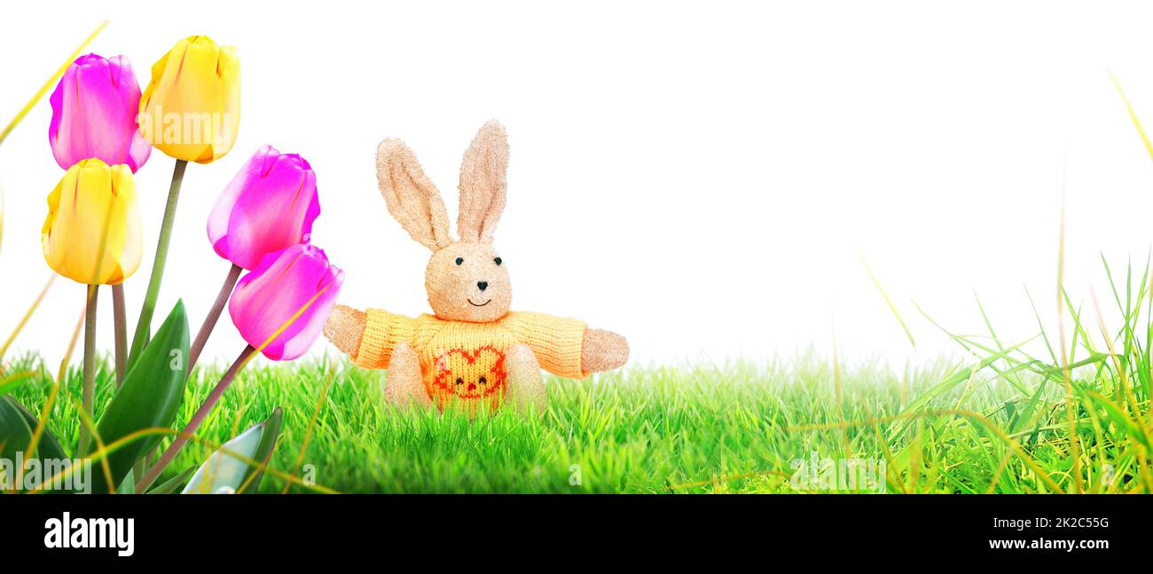 Funny Easter bunny. Happy Easter holiday concept. Stock Photo