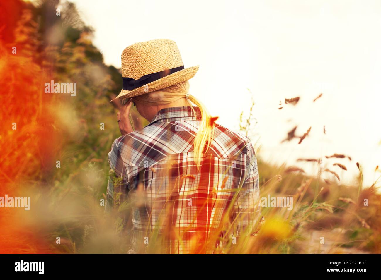 Woman field rear view hi-res stock photography and images - Alamy