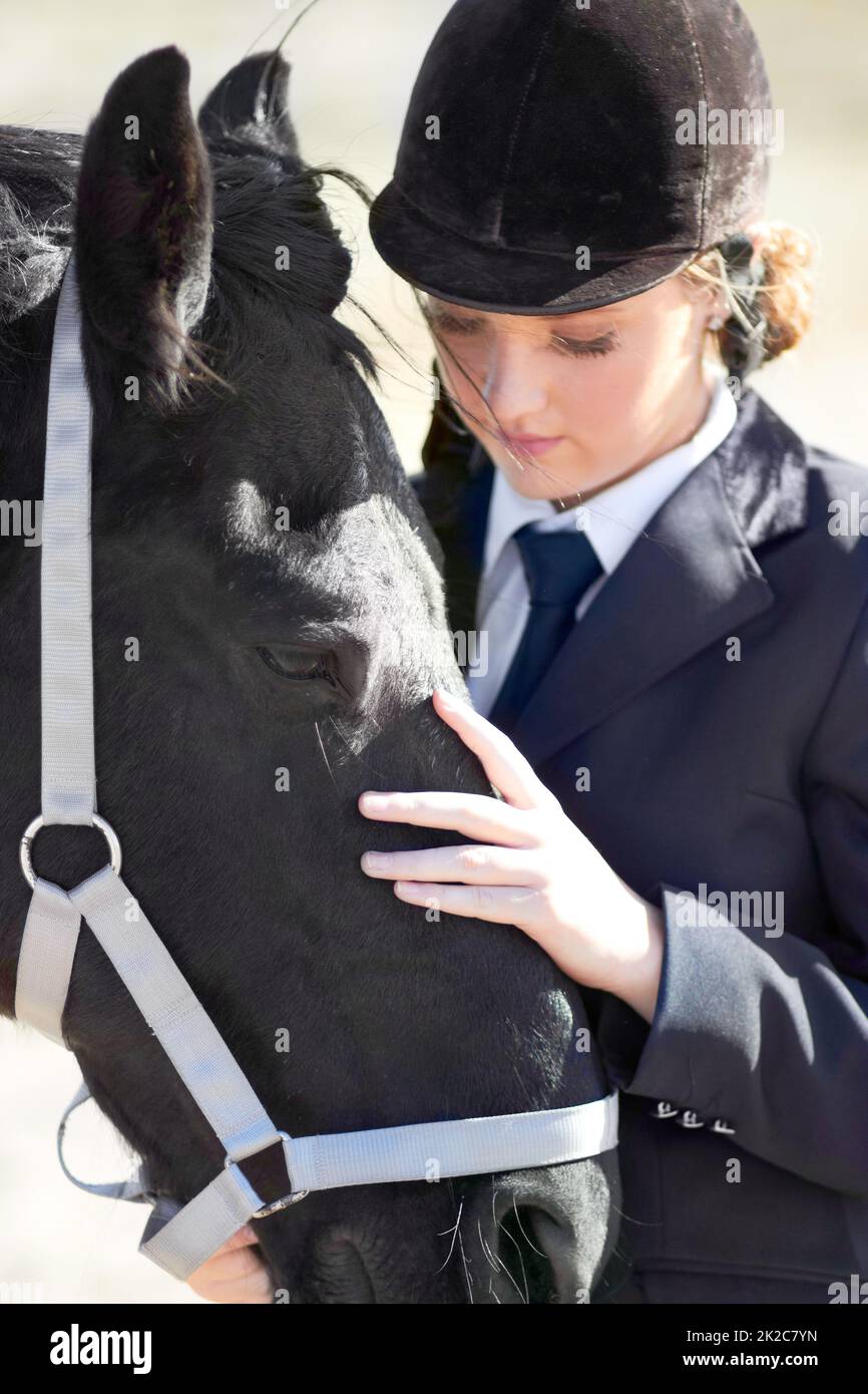 Pretty woman standing next horse hi-res stock photography and images - Alamy