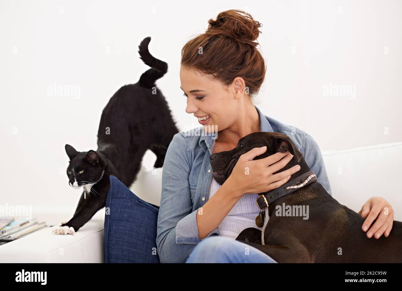 The love rubs off on everybody in her house. Shot of a beautiful young woman relaxing on the couch with her dog and cat. Stock Photo