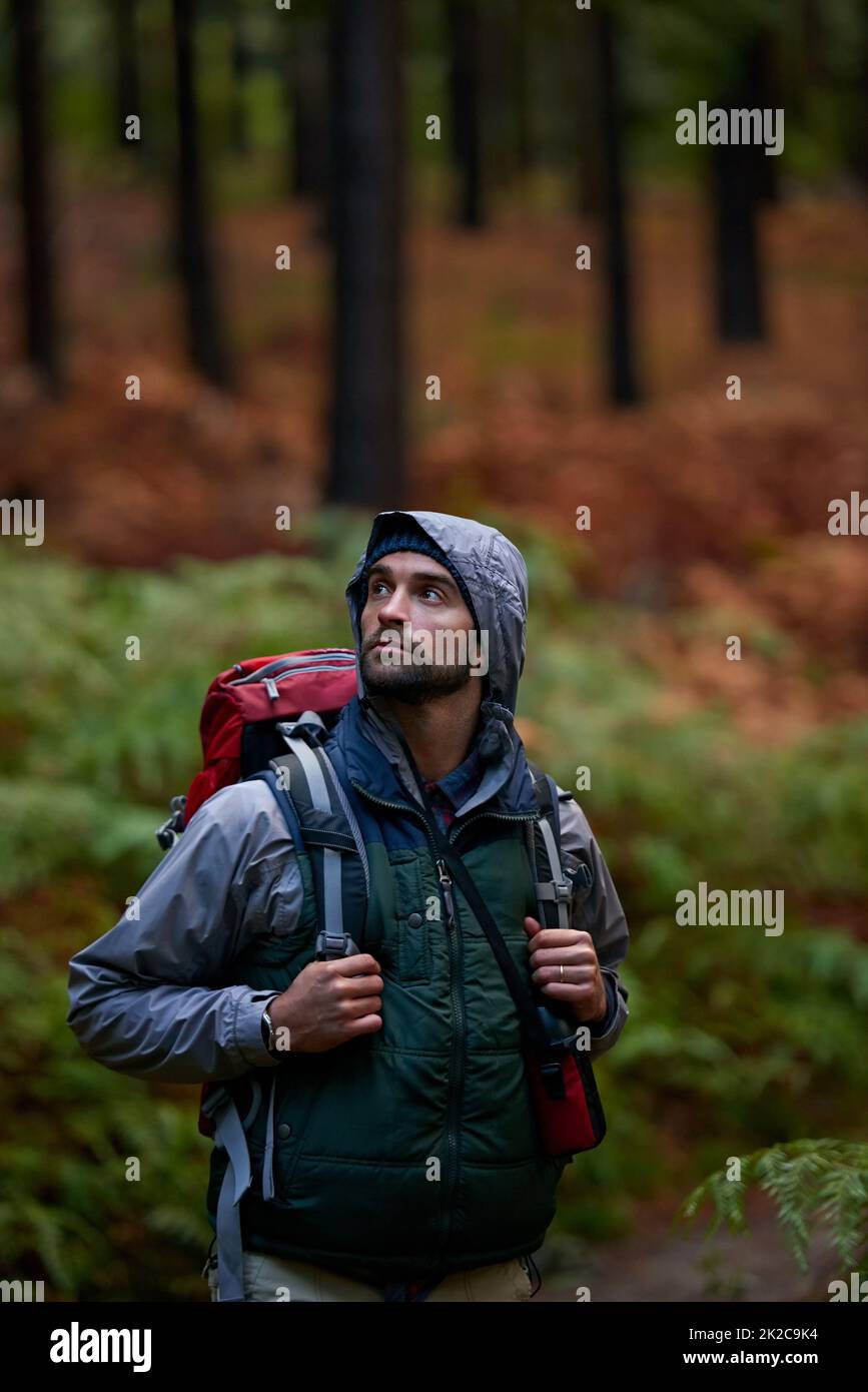 Lush, natural wilderness. Portrait of a young man wearing a backpack while hiking in the forest. Stock Photo