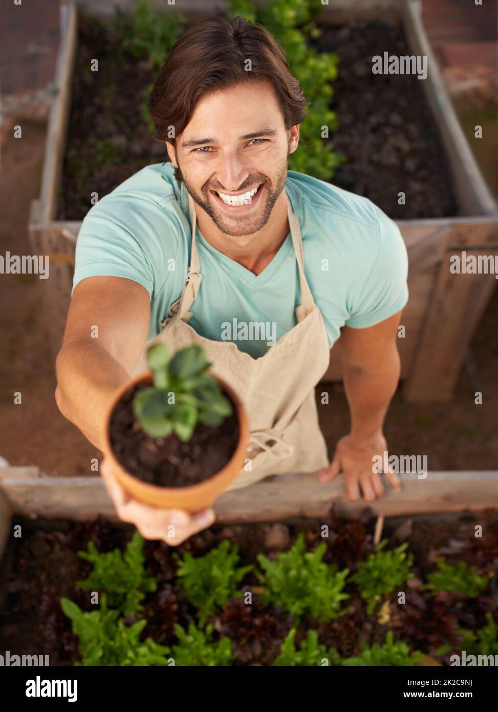 Save our earth plant something today. A handsome man wearing an apron