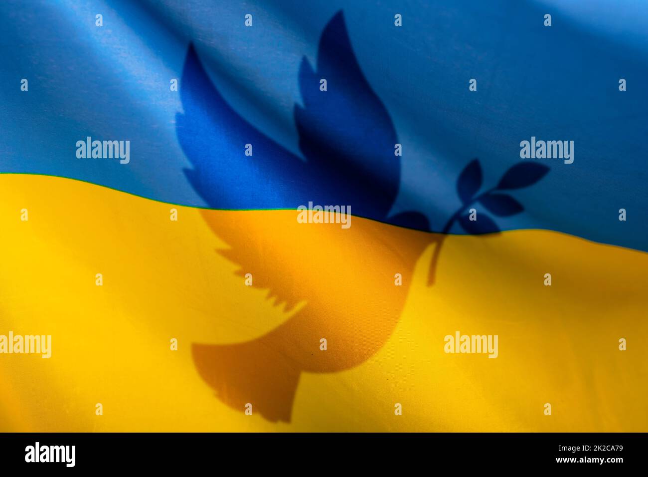 Dove in the colors of the ukrainian flag, war with Russia, peace for Ukraine Stock Photo