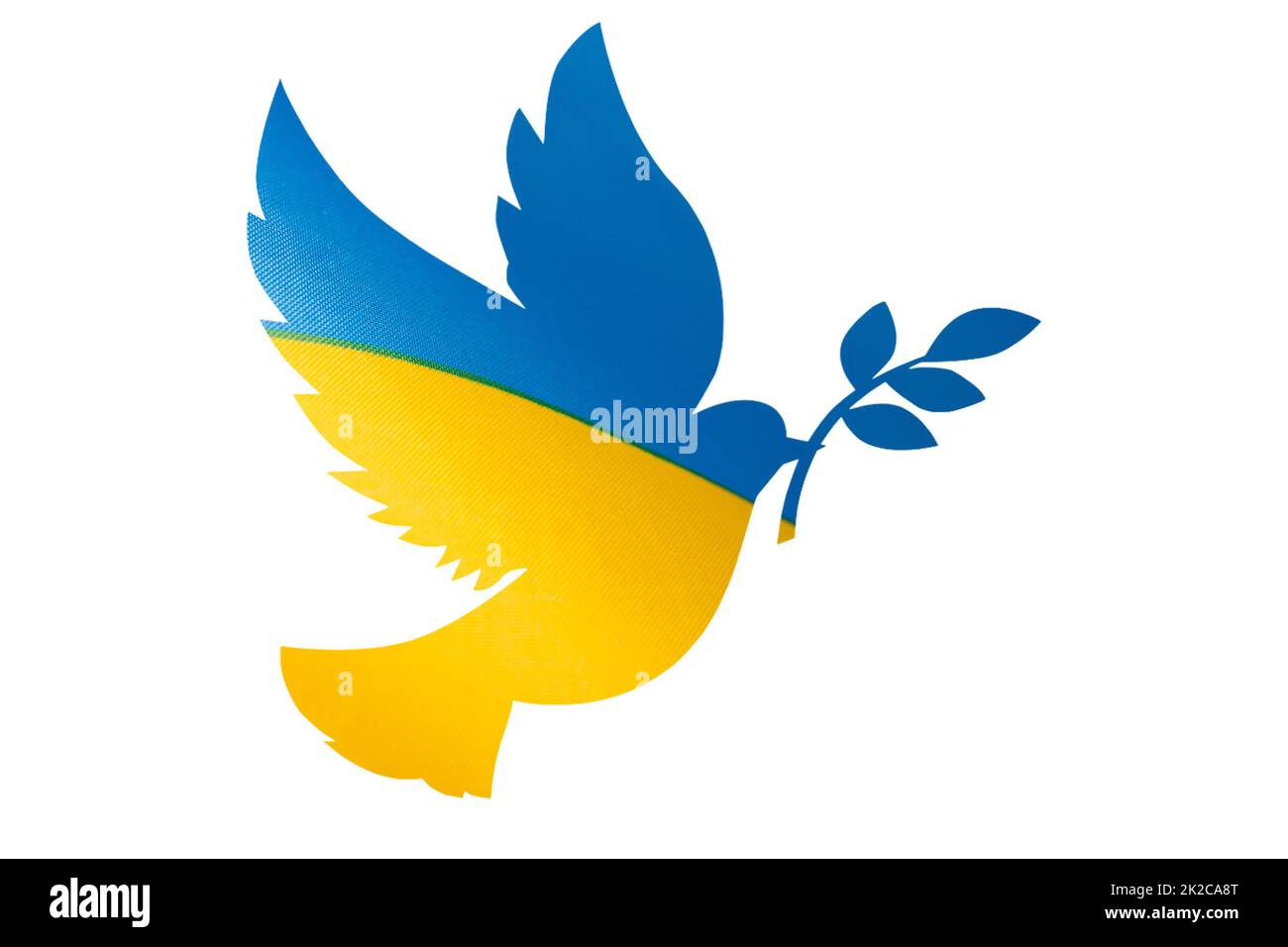 Dove in the colors of the ukrainian flag, war with Russia, peace for Ukraine Stock Photo