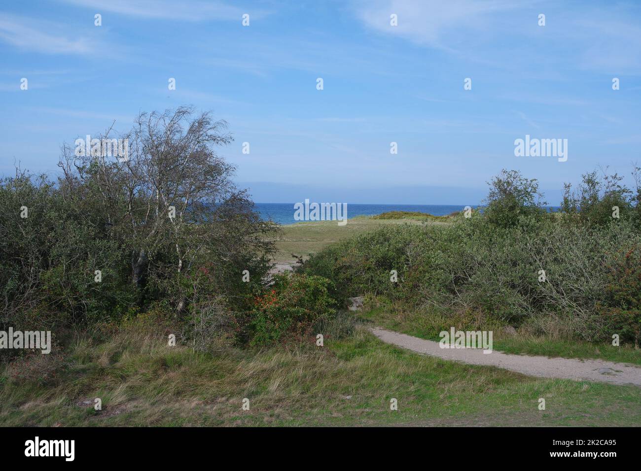 Fehmarn, landscape on the north coast Stock Photo