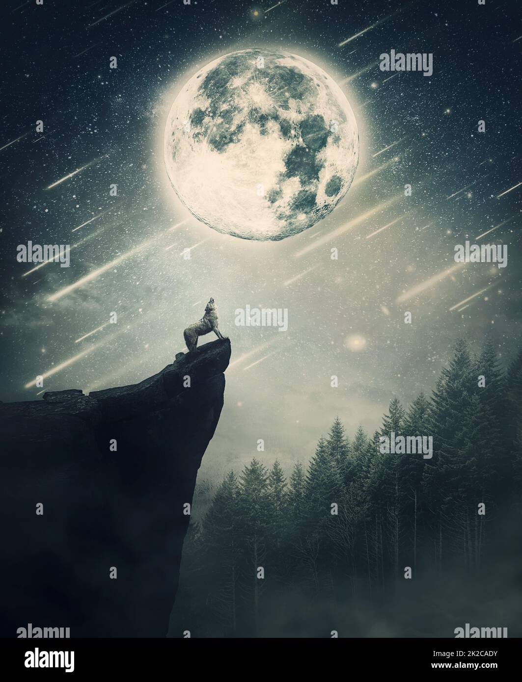 Howling wolf on the top of a cliff over night sky background with shining full moon. Wildlife scene with falling stars over the coniferous forest. Stock Photo