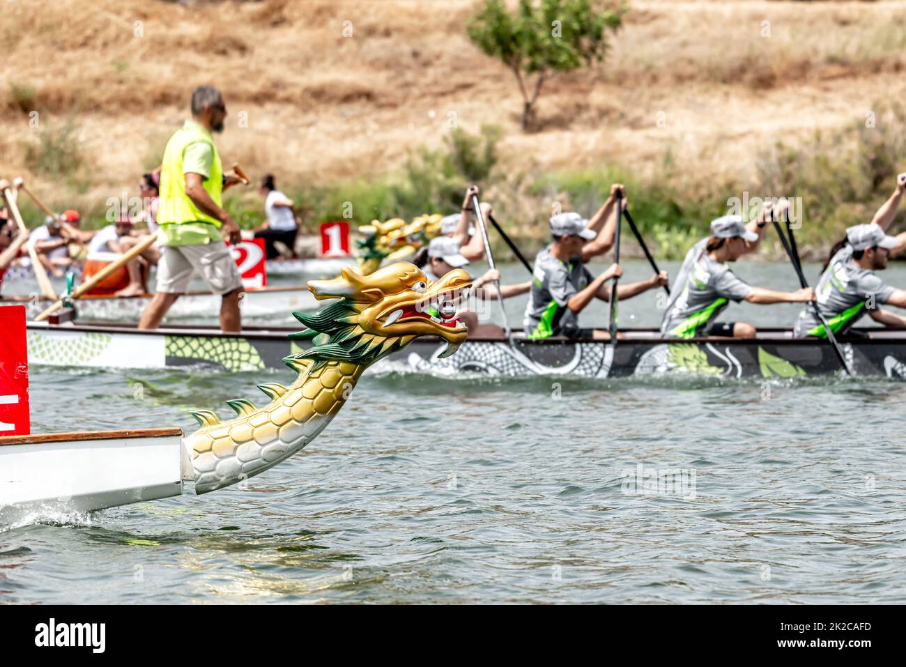 Teams compete in a dragon boat race Stock Photo