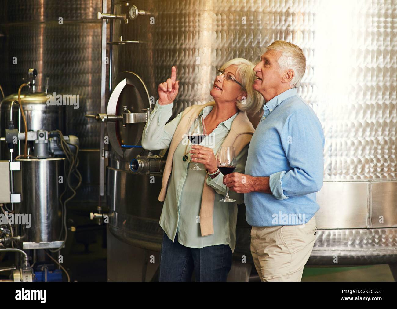 So this is where the best wine is made. Cropped shot of a senior couple enjoying a little wine tasting. Stock Photo