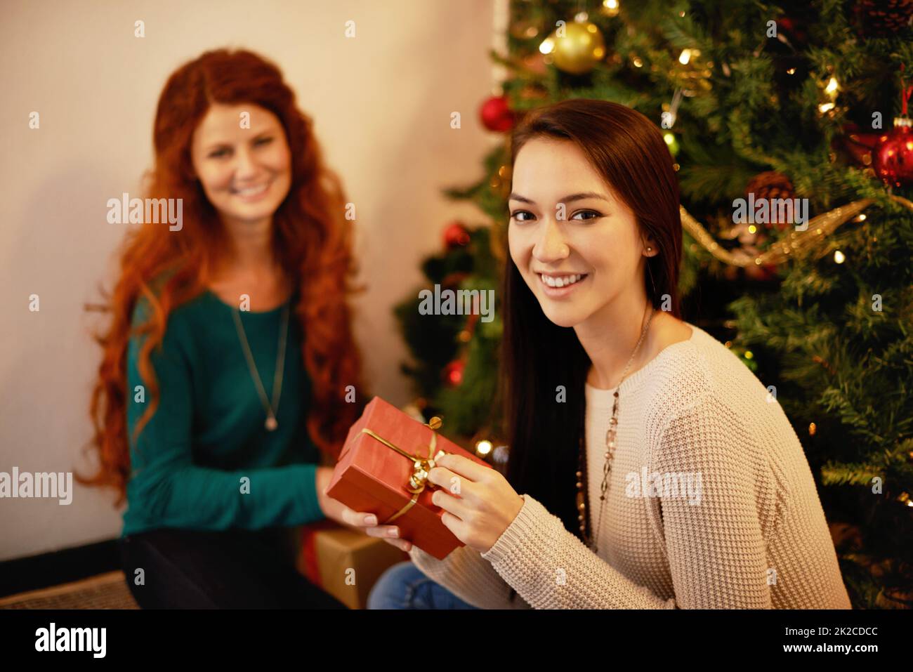 Time for presents. Cropped portrait of two young women sitting by a christmas tree. Stock Photo