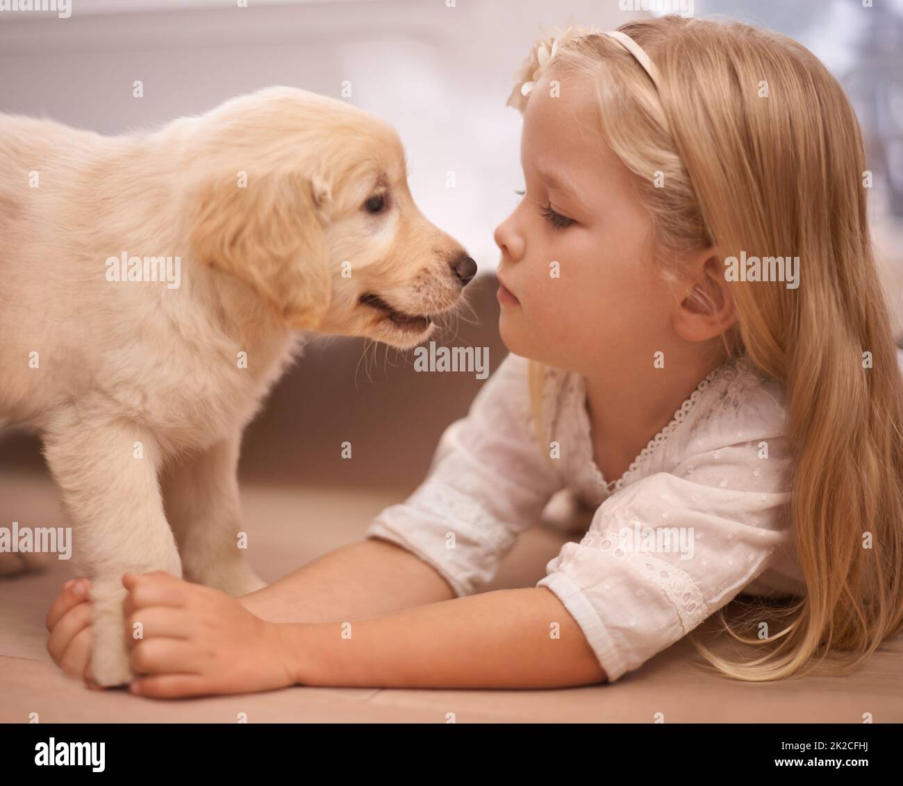 The best friend you can get. An adorable little girl with her puppy at home. Stock Photo
