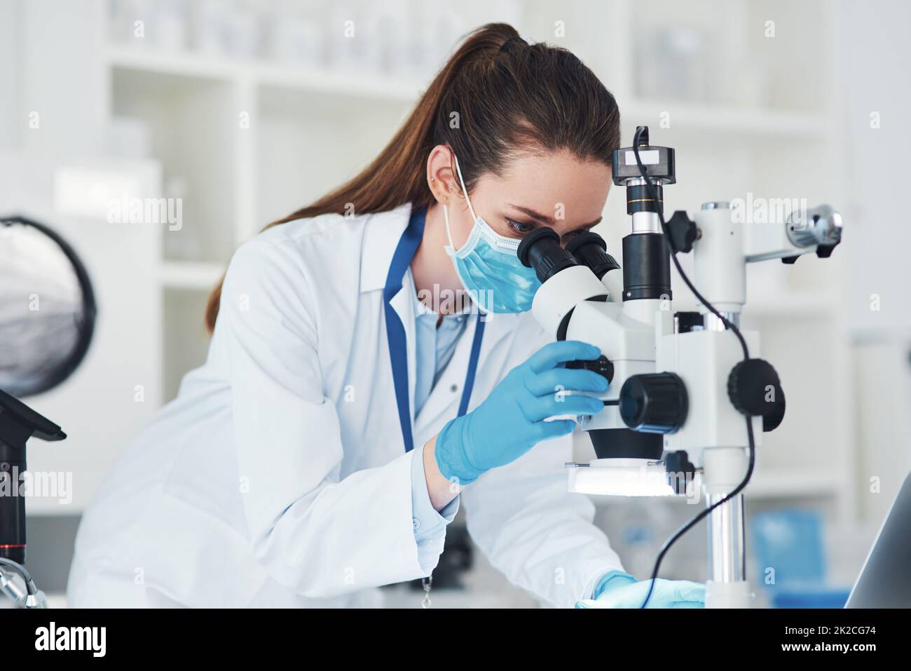 I have to wear my safety mask for this. Cropped shot of a focused young female scientist looking through a microscope while doing tests inside of a laboratory. Stock Photo