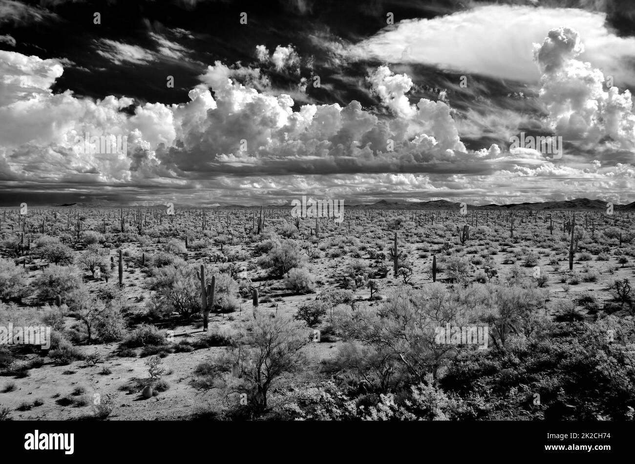 Infrared Sonora Desert Arizona Stock Photo