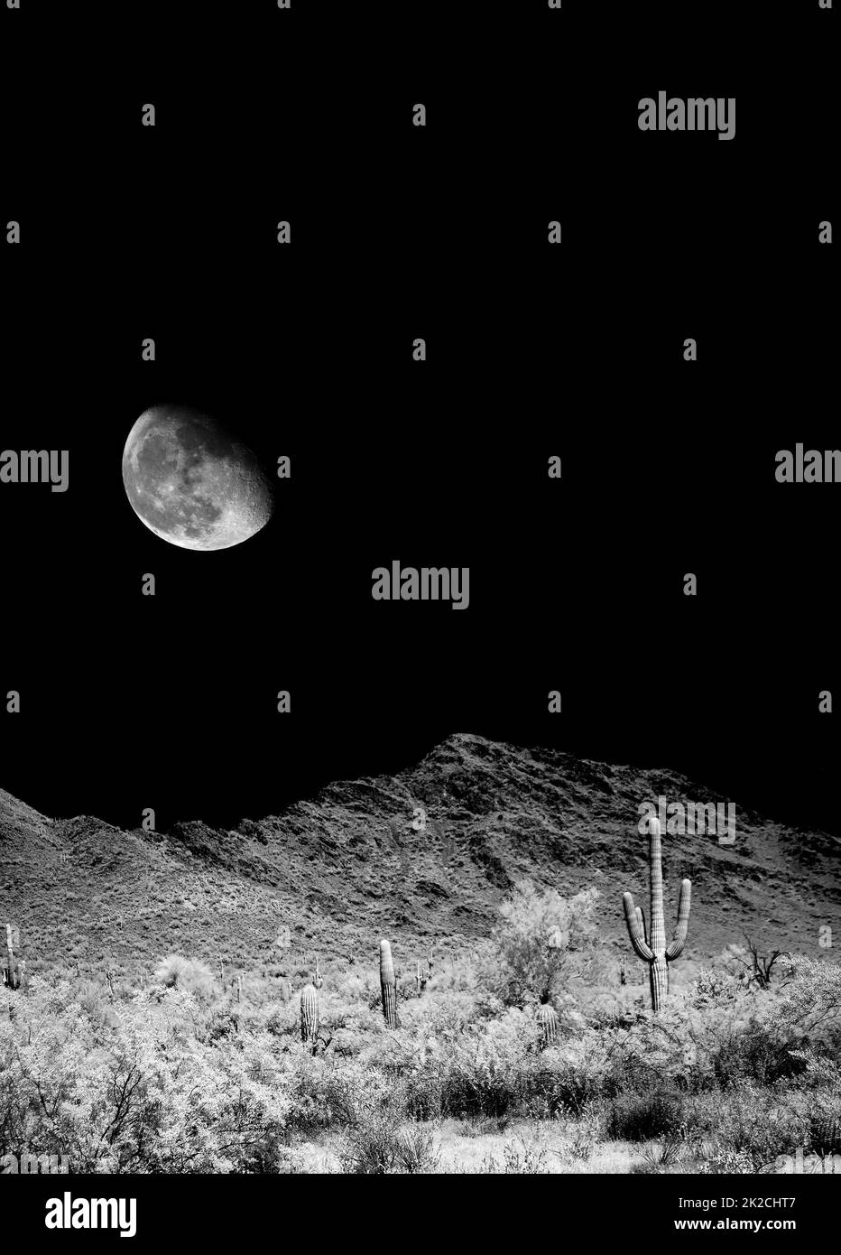 Arizona Sonora Desert Moon in infrared monochrome Stock Photo